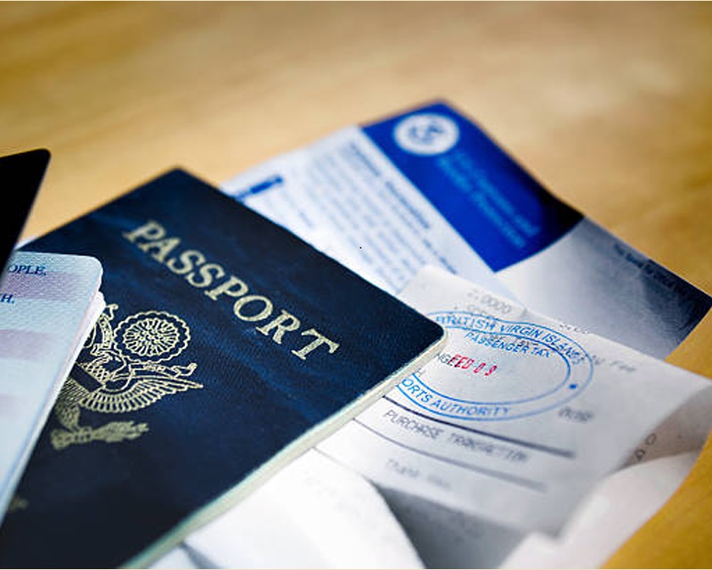 How can immigration consultants help you out?