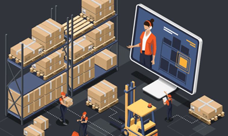 How Can a WMS Warehouse Management System Optimize Your Supply Chain?