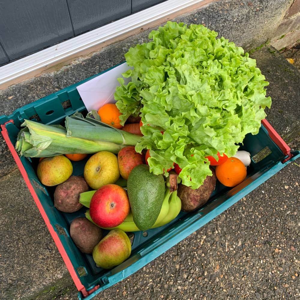 Exploring Organic Veg Boxes: A Healthier Choice for Your Family