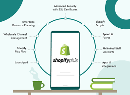 E-commerce beheersen: ontketen de kracht van uw Shopify-webshop
